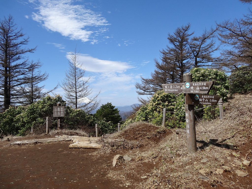 姫次から眺める富士山