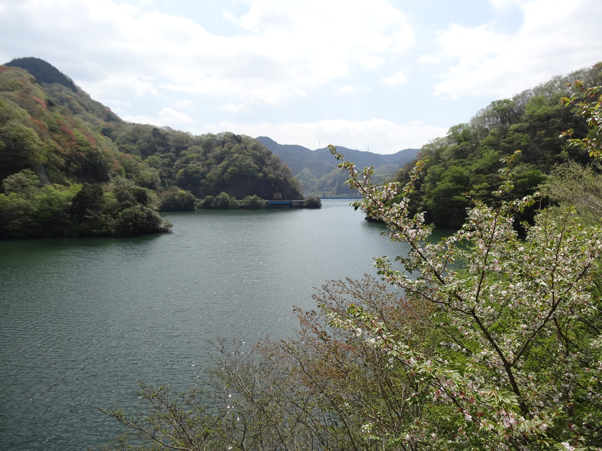 丹沢湖
