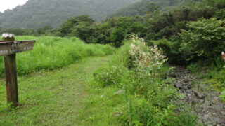 朝霧高原
