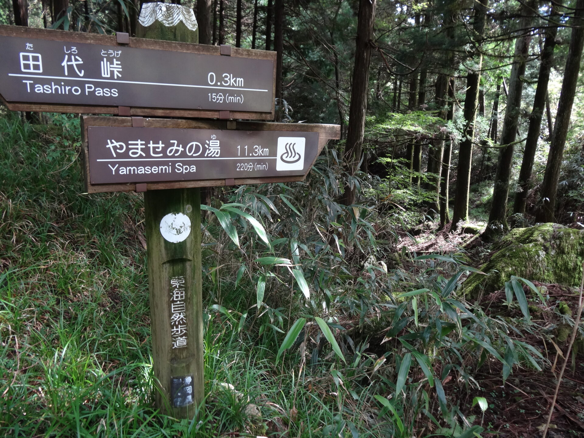 田代峠