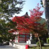 もみじの高山寺