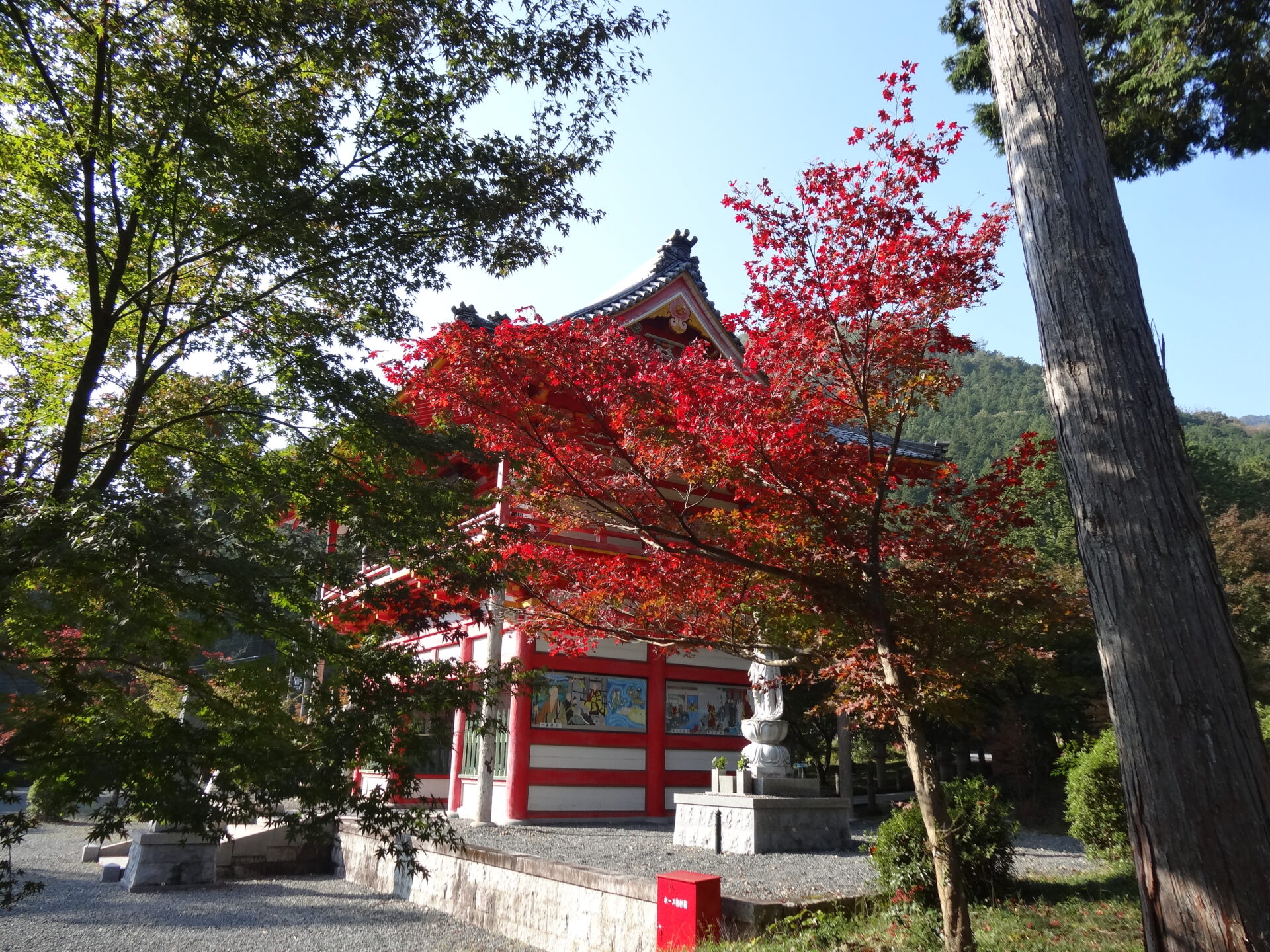 もみじの高山寺