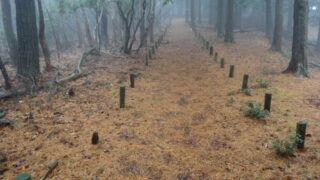 東海道鈴鹿峠