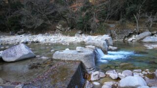 朝明川の飛び石
