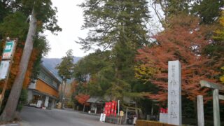 椿大神社
