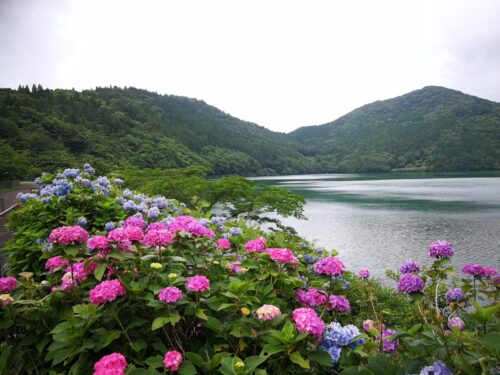 雲仙/おしどり池