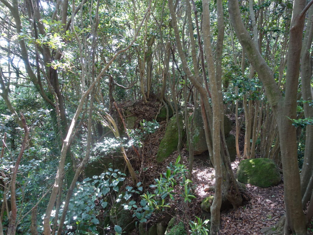 岩場