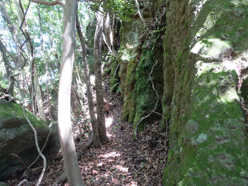岩屋山へ岩場が続きます