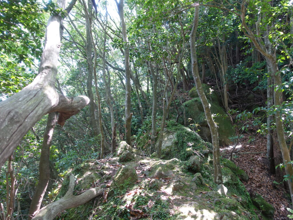 岩屋山へ岩場が続きます