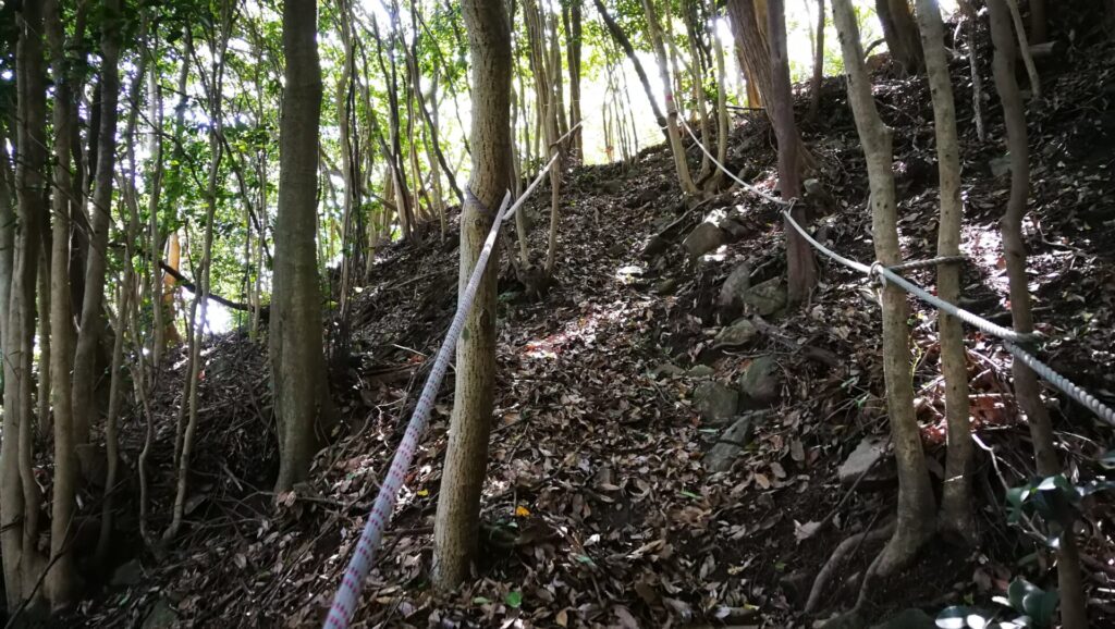 岩屋山への登り