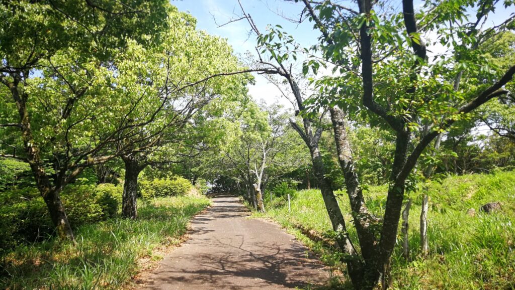 稲佐山公園道路に出る