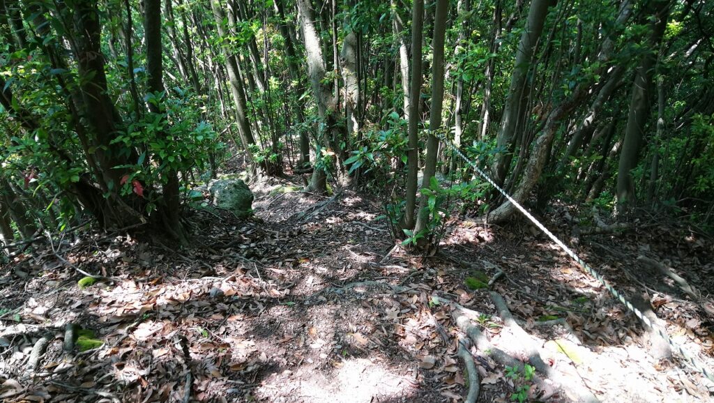 やせ尾根の次は急勾配下り道