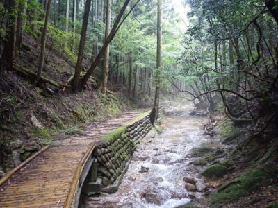 気持ちいい沢沿いの林道
