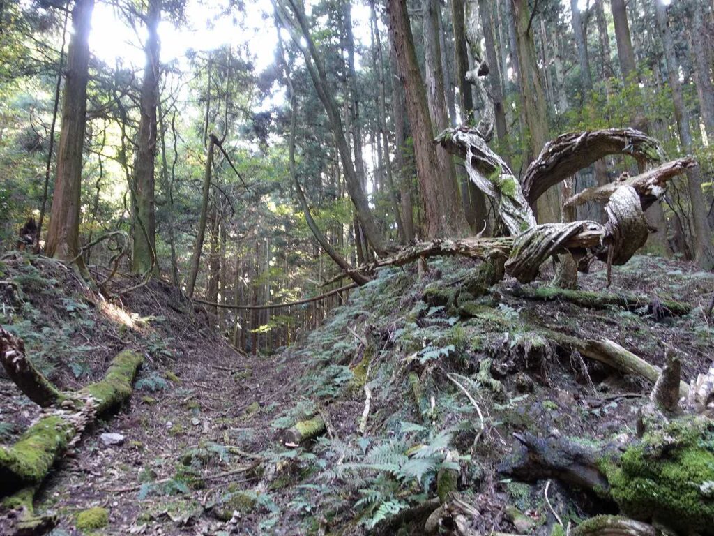 山道