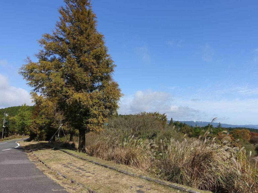 別荘地を通り