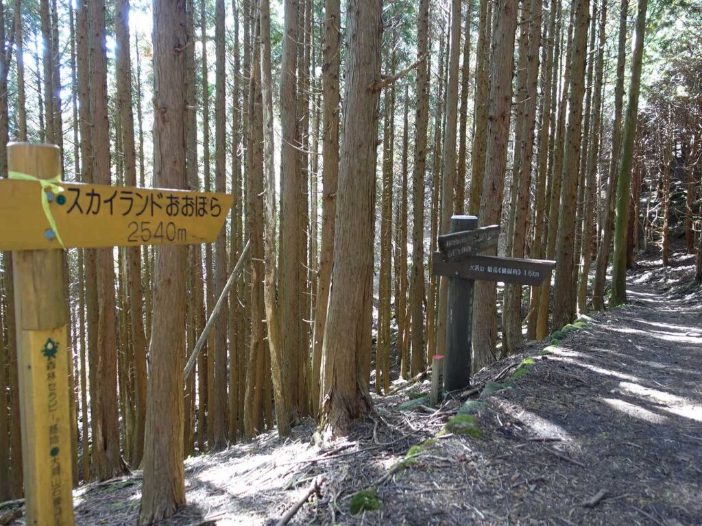 苔の石畳ｺｰｽ