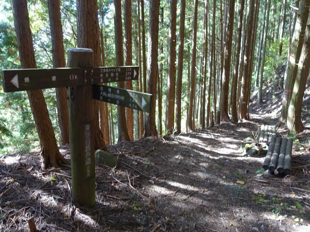 太郎生南出へ下る