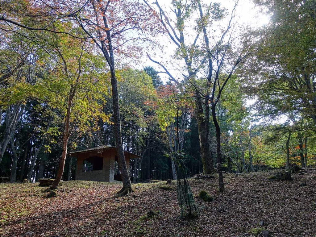 蔵王堂公園
