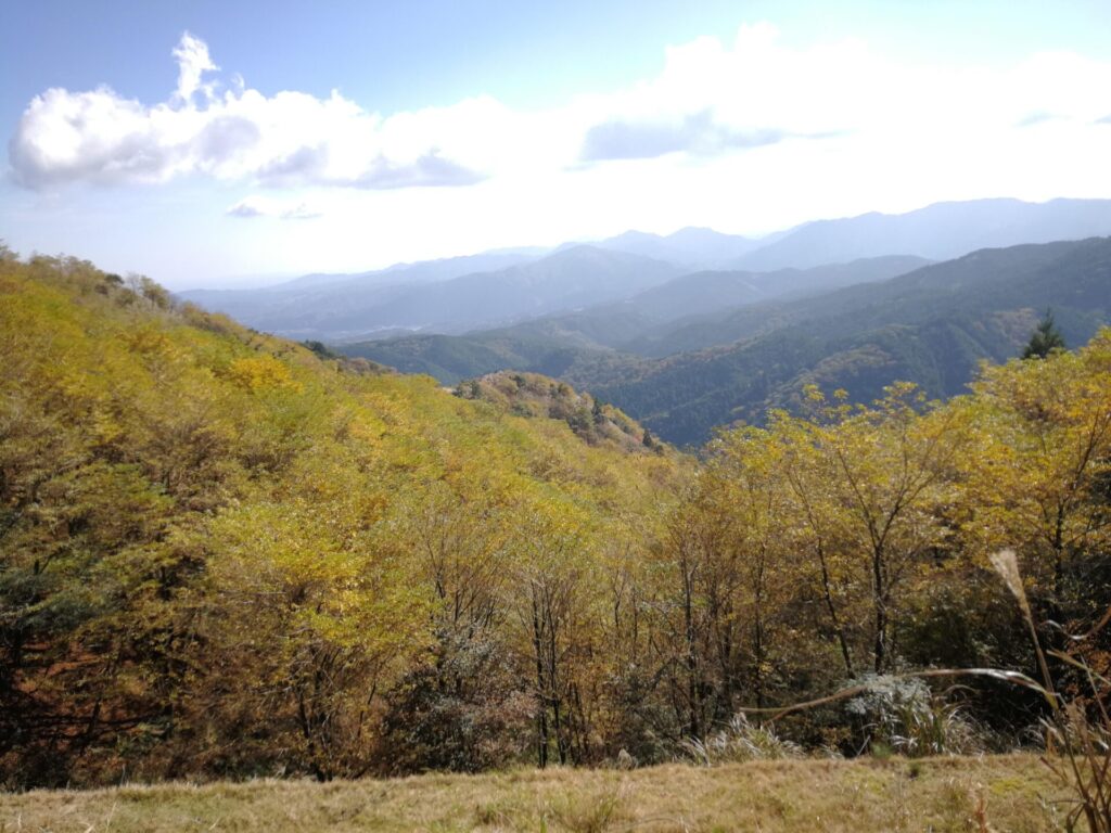 山の紅葉