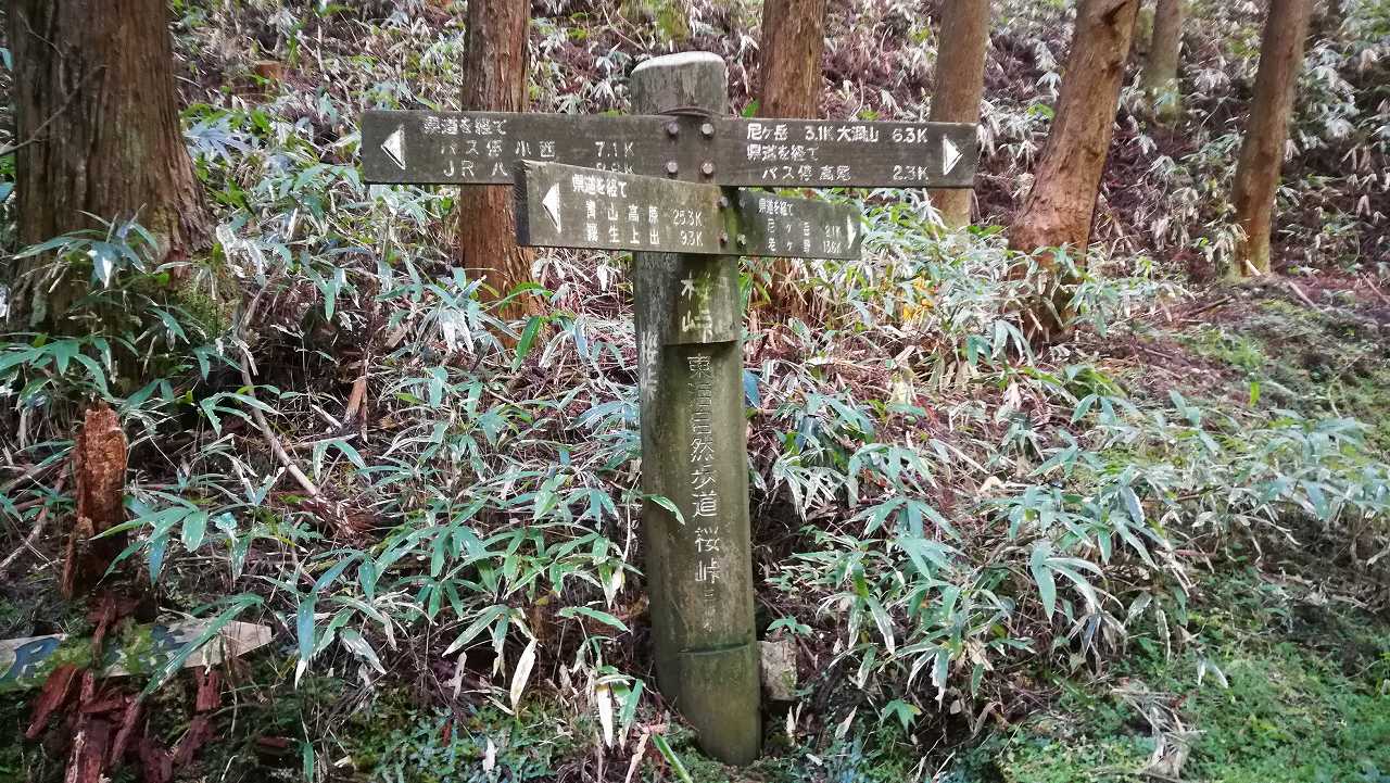 桜峠