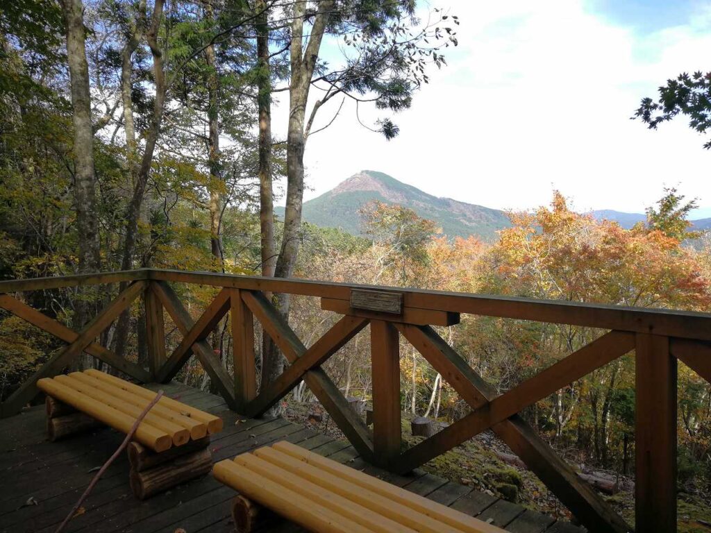苔の石畳から尼ヶ岳