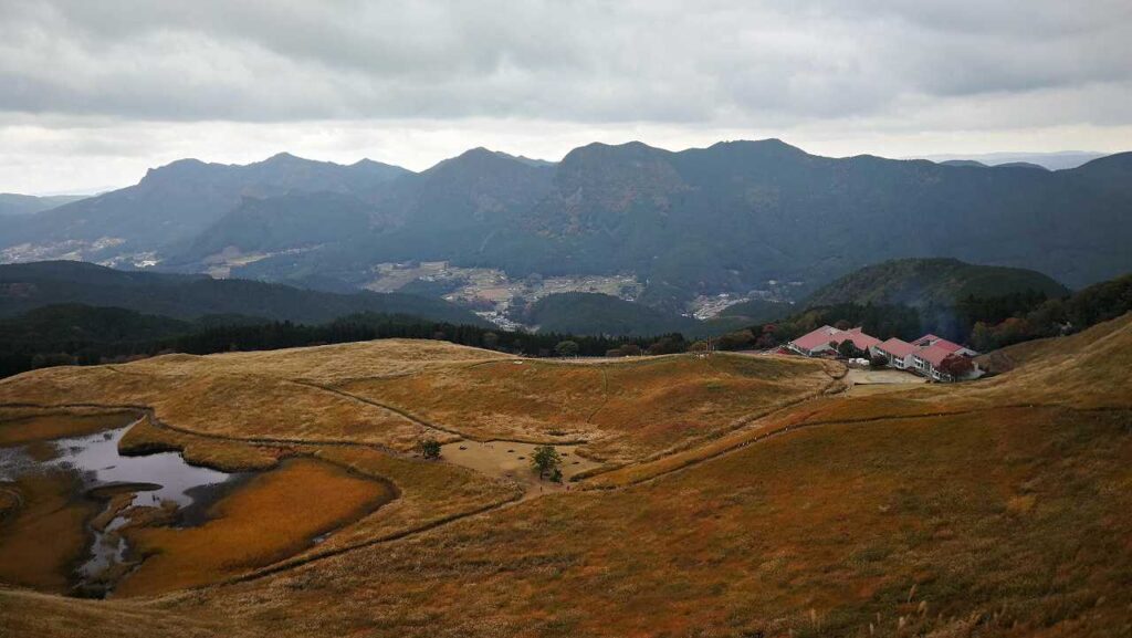 曾爾高原