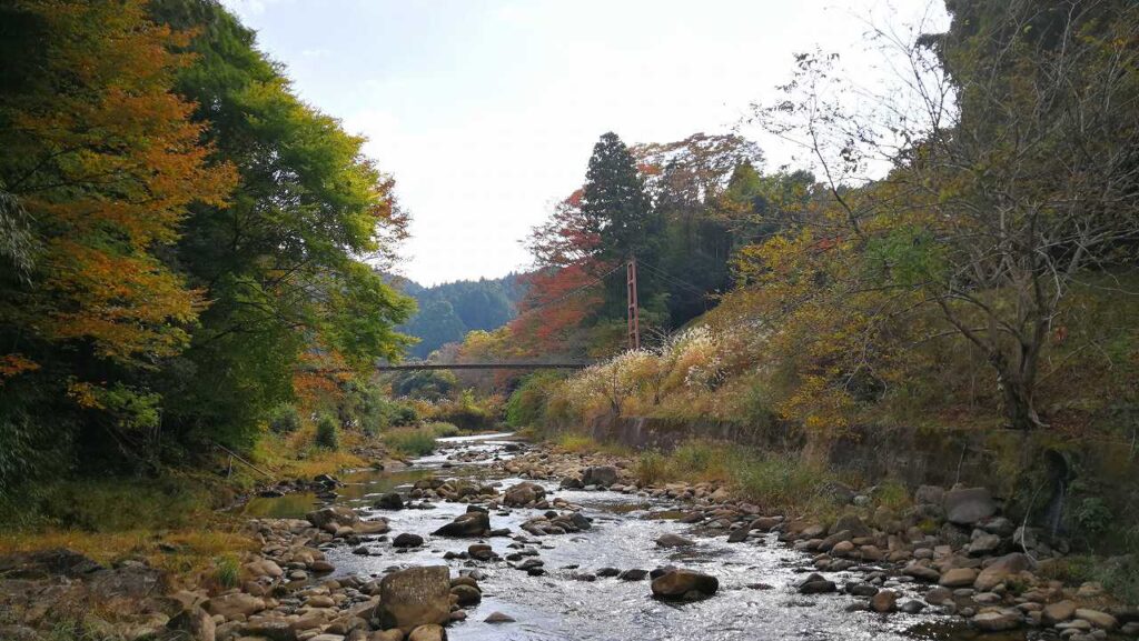 かずらの吊り橋2