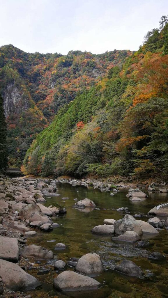 青蓮寺川