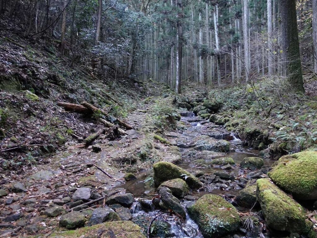 沢沿いを歩く