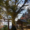戒長寺境内の紅葉