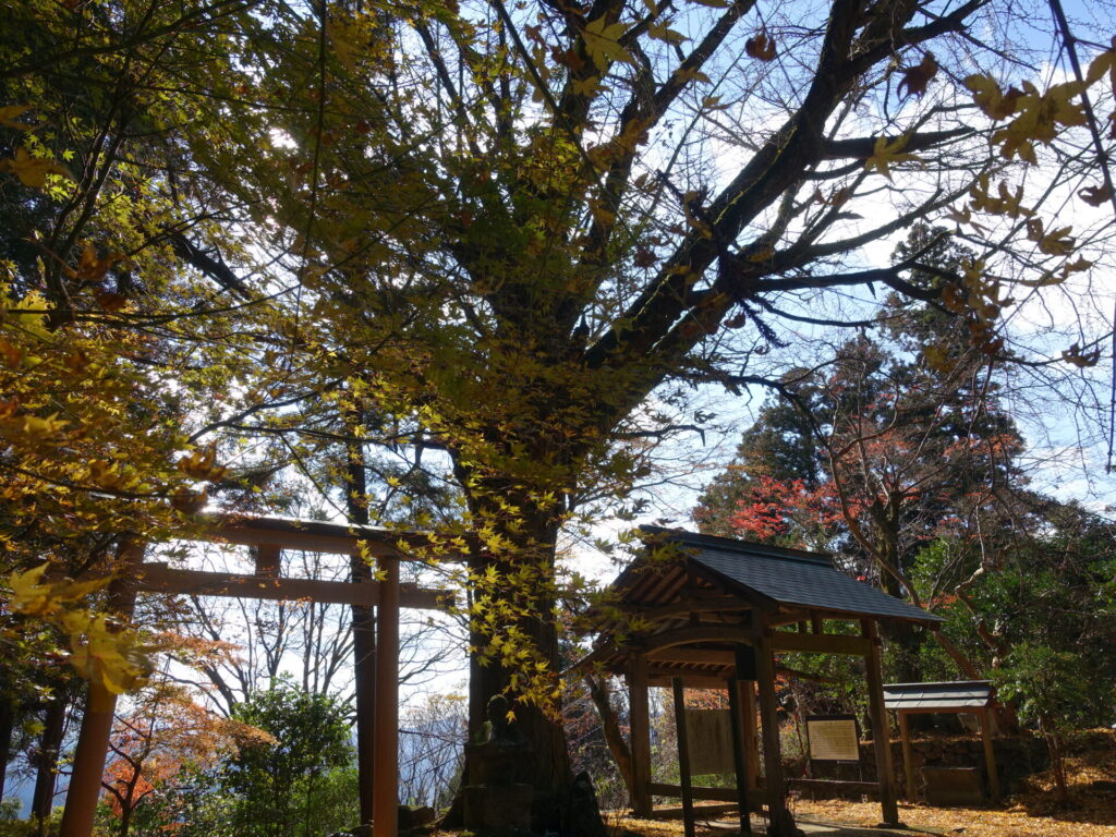 戒長寺境内の紅葉