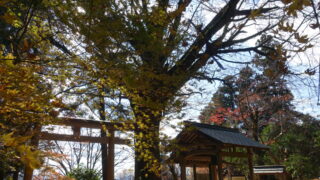 戒長寺境内の紅葉