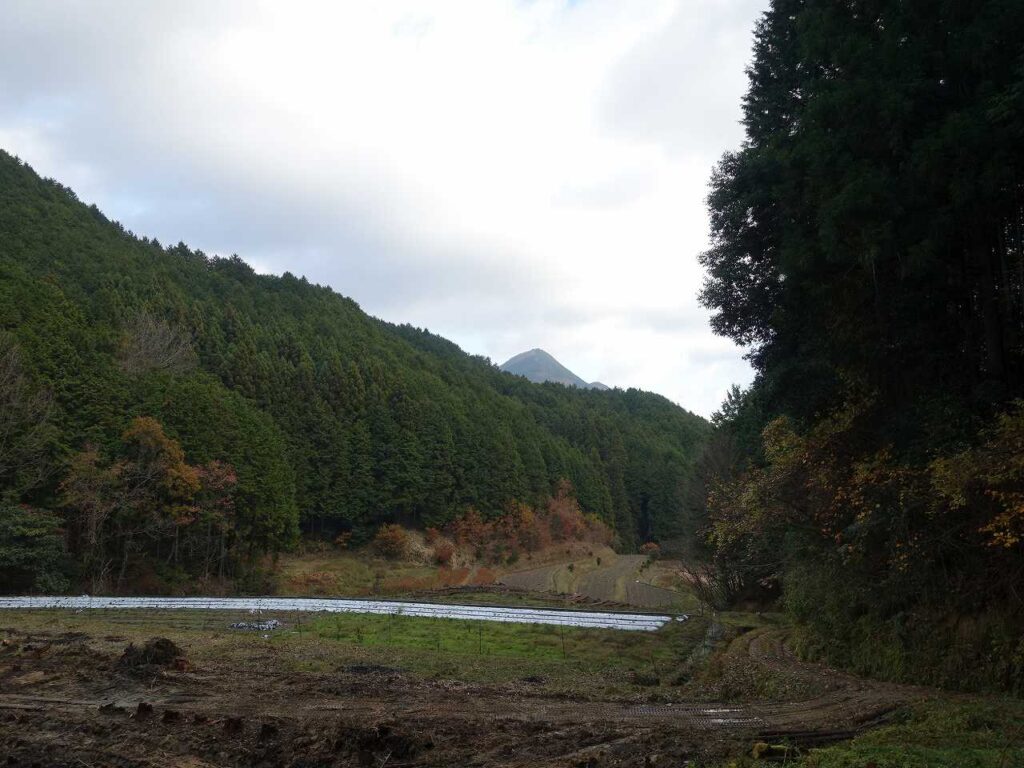 玉立の山間からの額井岳