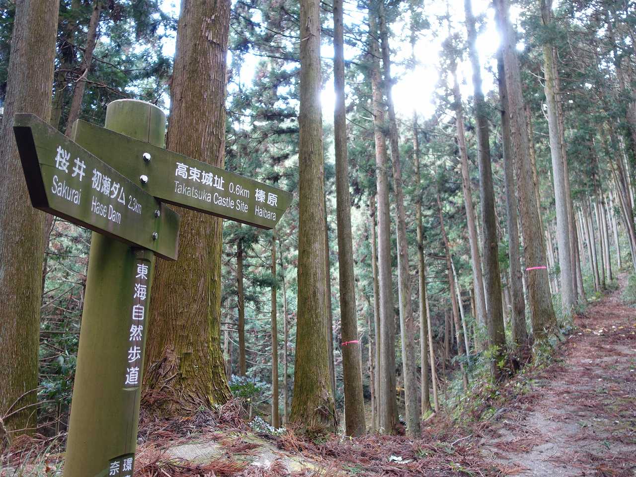 道しるべ-長谷寺へ