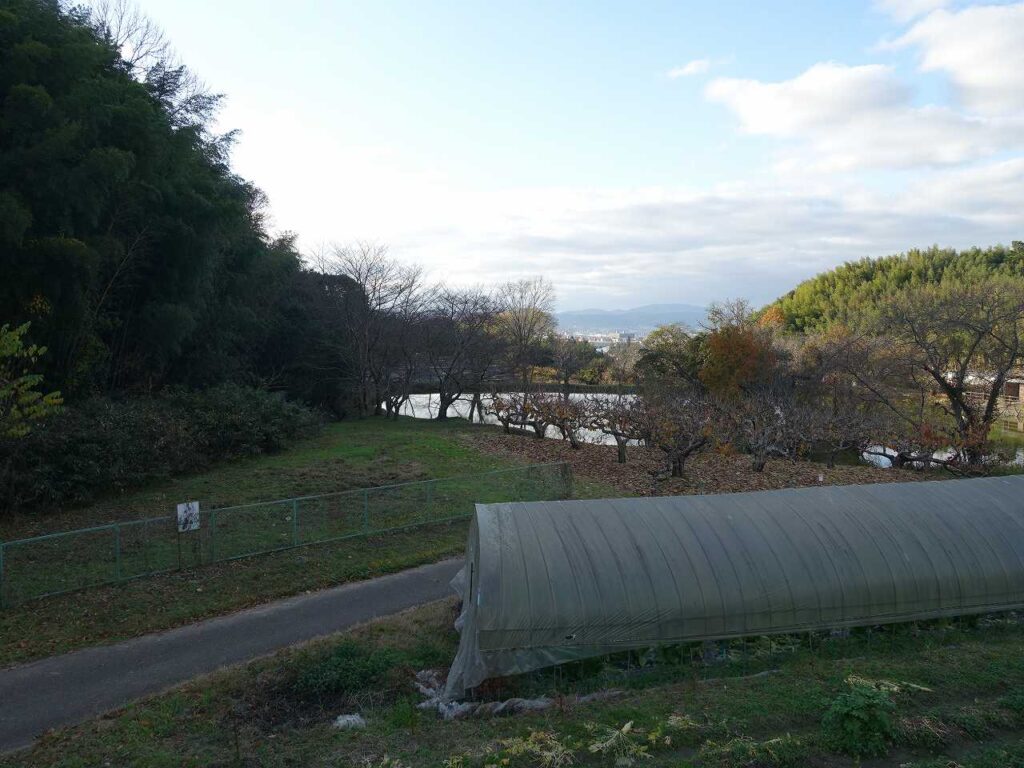 内山永久寺/本堂池跡