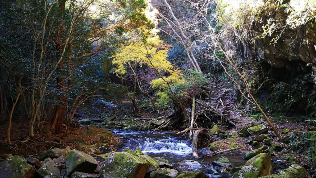 川の流れと紅葉