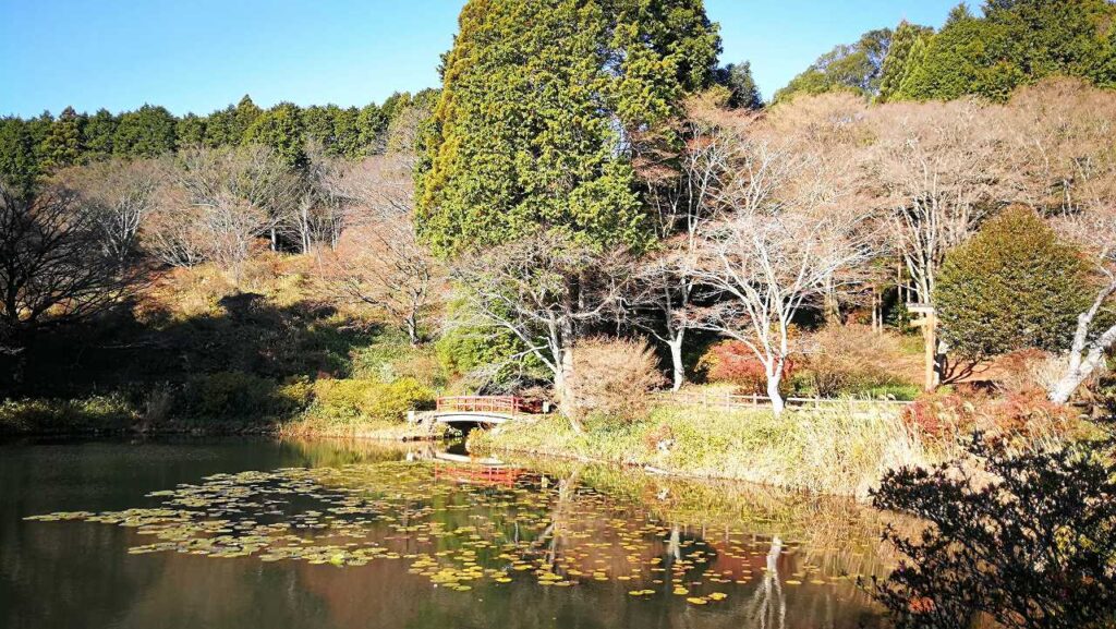 鳥見山公園