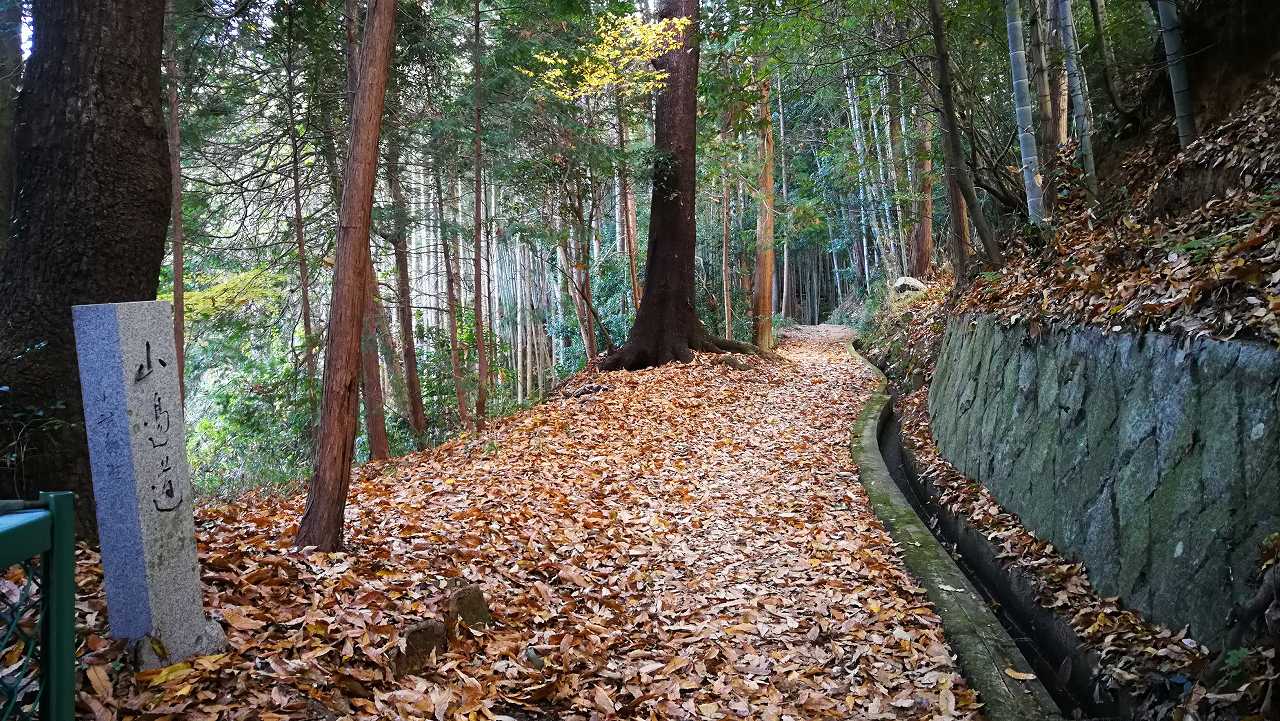 山の辺の道