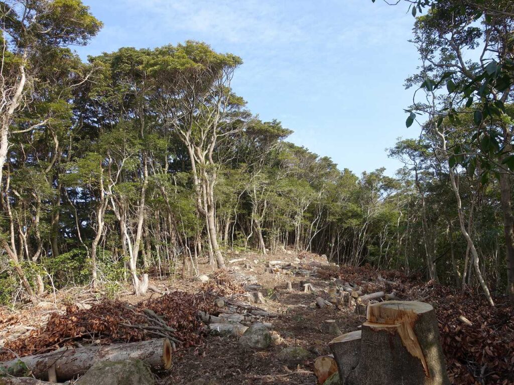 船石岳山頂付近