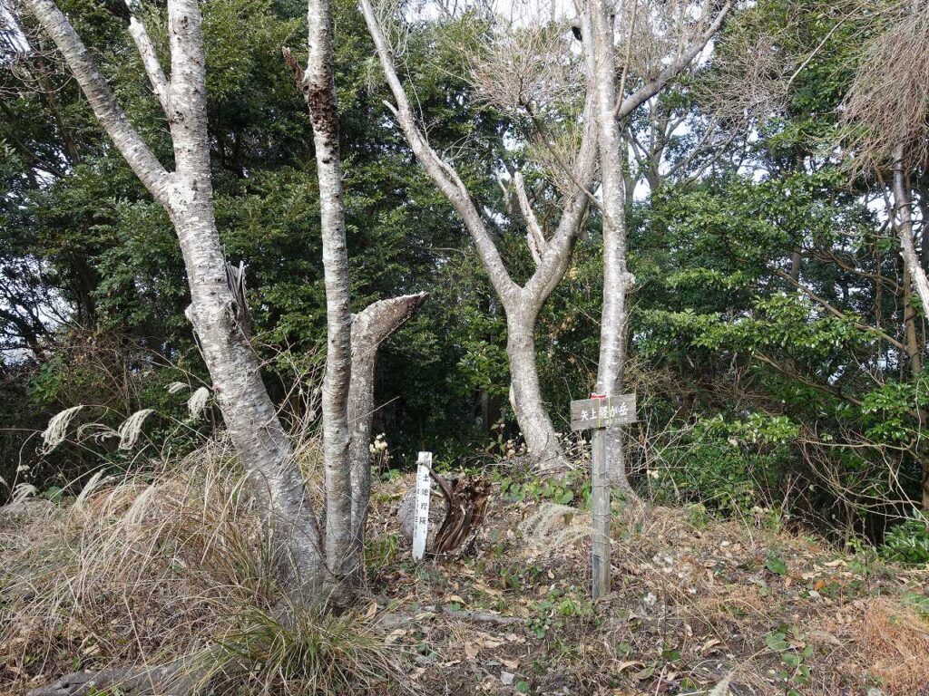 矢上経ヶ岳