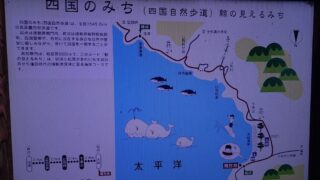 大岐の浜