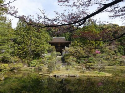 円城寺桜門と庭園