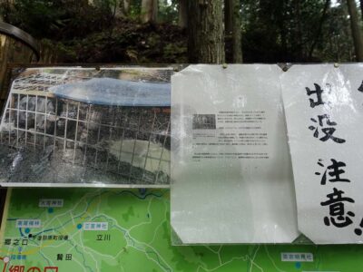 熊出没