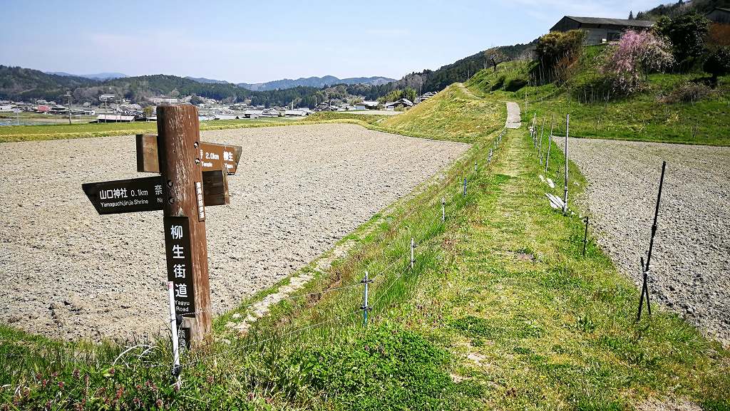 柳生街道