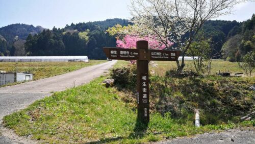 花と道しるべ
