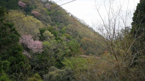 ダラダラ登りくねくね舗装道路