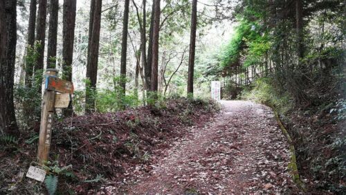 山道へ