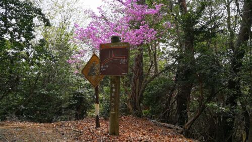 花と道しるべ