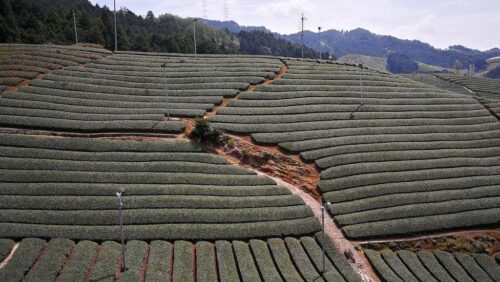 和束町