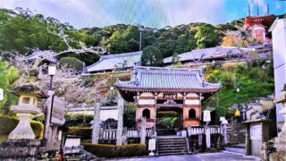 薬王寺(第23番札所)